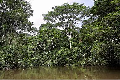 《遗迹2》新预告片：洛桑世界和杜兰困境